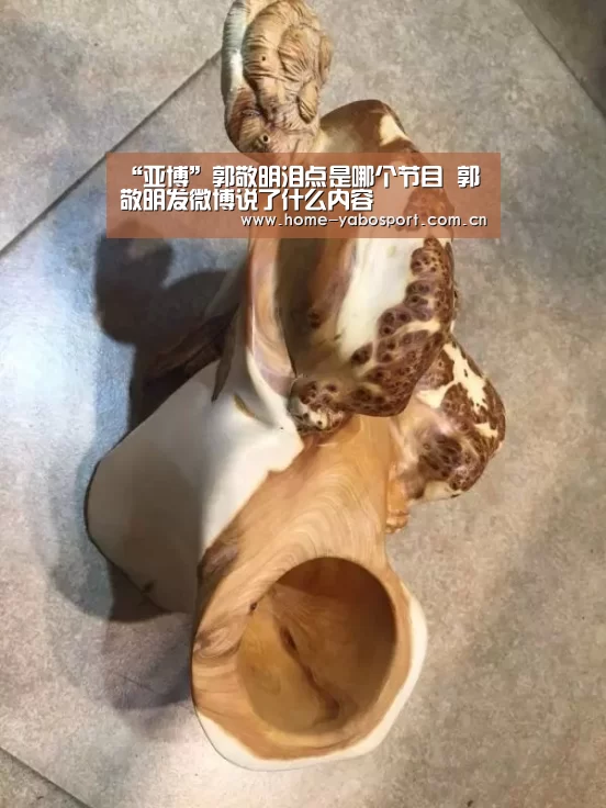 “亚博”郭敬明泪点是哪个节目 郭敬明发微博说了什么内容(图1) 亚博官网