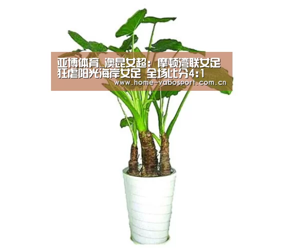 亚博体育_澳昆女超: 摩顿湾联女足 狂虐阳光海岸女足 全场比分4:1