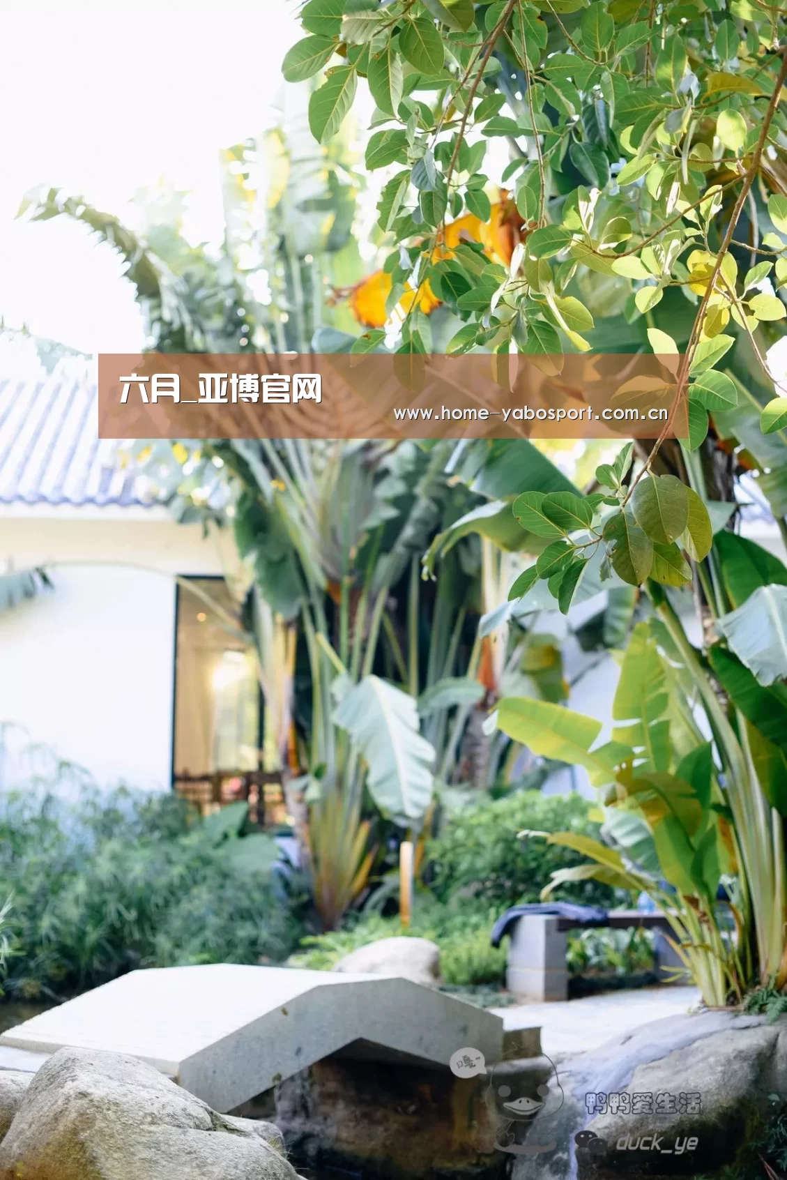 六月_亚博官网(图2) 亚博官网