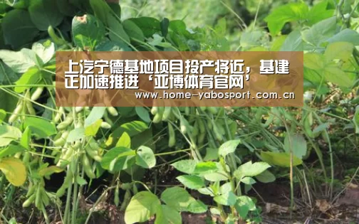 上汽宁德基地项目投产将近,基建正加速推进‘亚博体育官网’(图1) 亚博官网